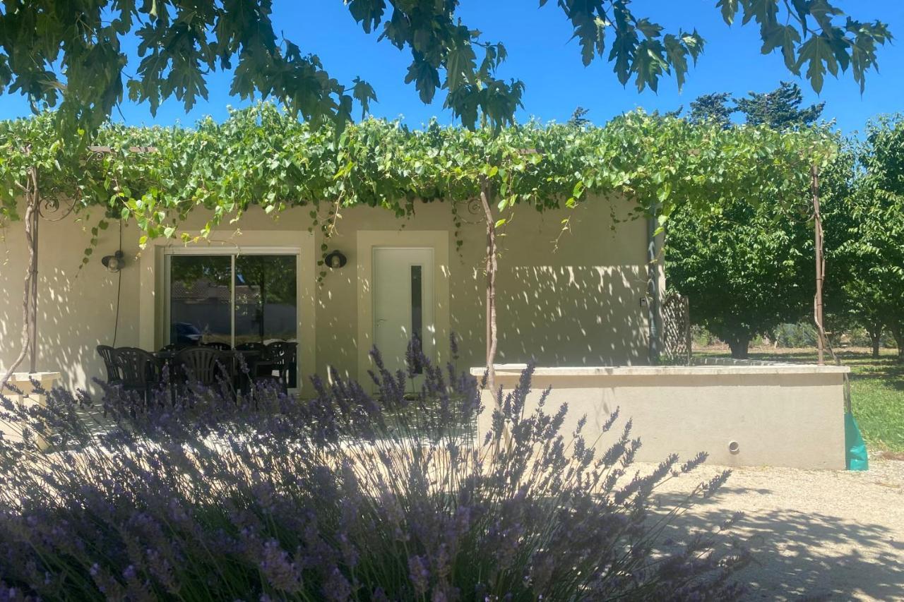 Le Ribbou Villa L'Isle-sur-la-Sorgue Kültér fotó